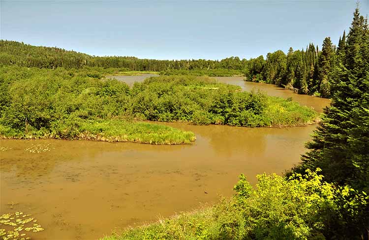 brown river